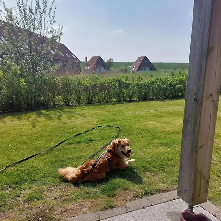 Apartament Hinterdeich *